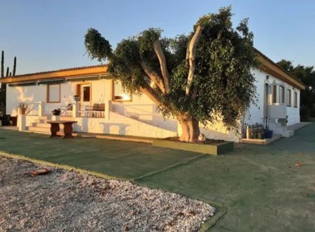 Resale - Villa - San Miguel de Salinas - San Miguel de Salinas Centro