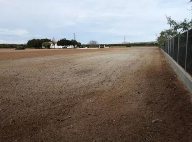 Resale - Villa - San Miguel de Salinas - San Miguel de Salinas Centro