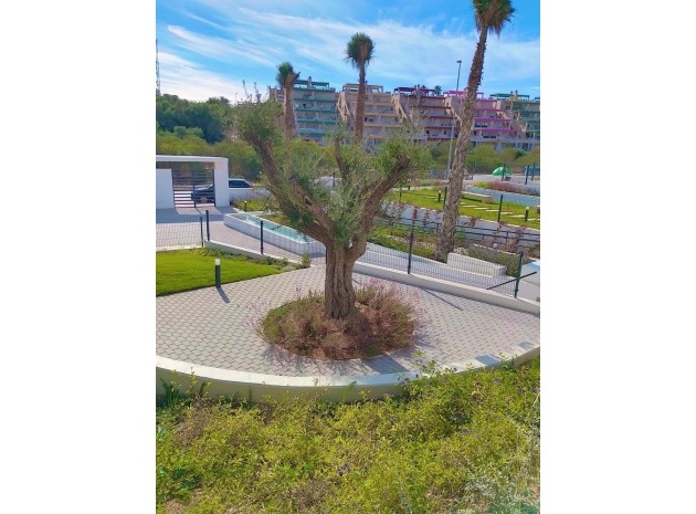 Wederverkoop - Appartement - Orihuela - Villamartin