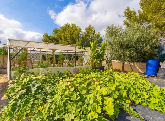 Wederverkoop - Villa - Orihuela - Villamartin