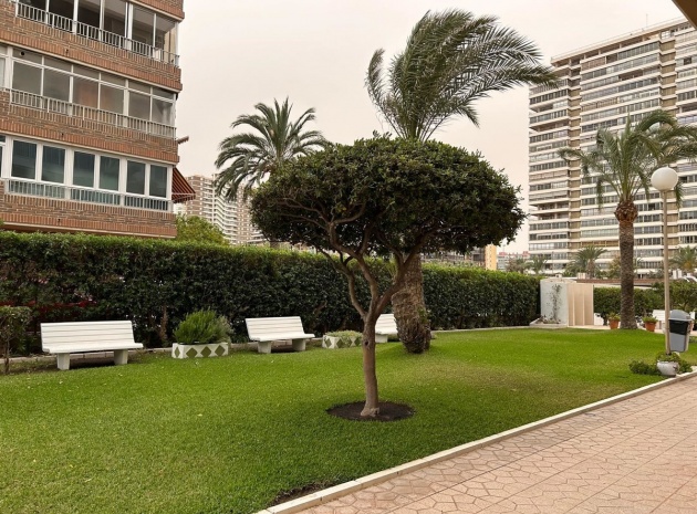 Återförsäljning - Lägenhet - San Juan de Alicante - Playa de San Juan