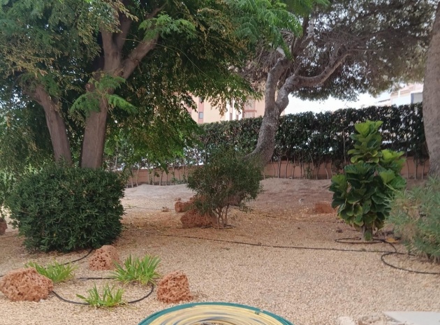 Wiederverkauf - Wohnung - Elche - Arenales del Sol