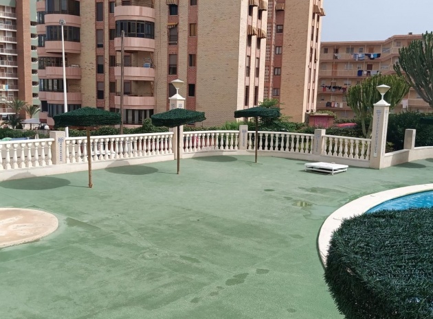 Wiederverkauf - Wohnung - Elche - Arenales del Sol