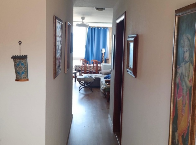 Wiederverkauf - Wohnung - Elche - Arenales del Sol