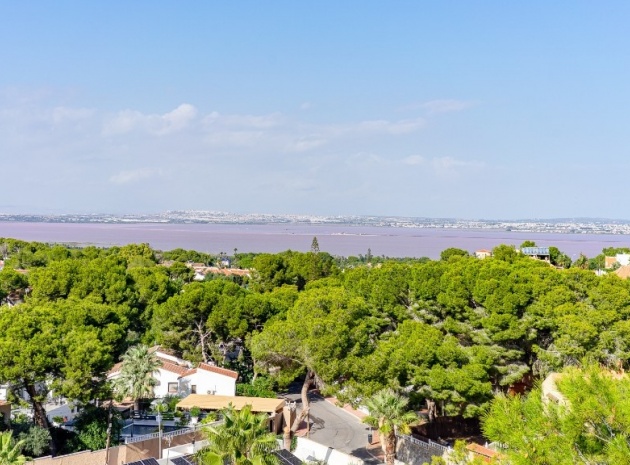 Återförsäljning - Villa - Orihuela - Los Balcones