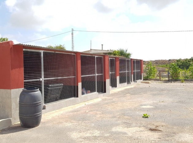 Wiederverkauf - Country Property - Los Montesinos - Los Montesinos Centro