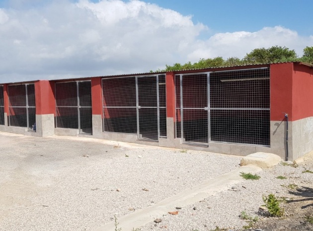 Wiederverkauf - Country Property - Los Montesinos - Los Montesinos Centro