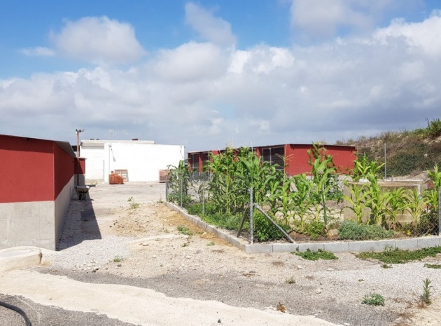 Wiederverkauf - Country Property - Los Montesinos - Los Montesinos Centro