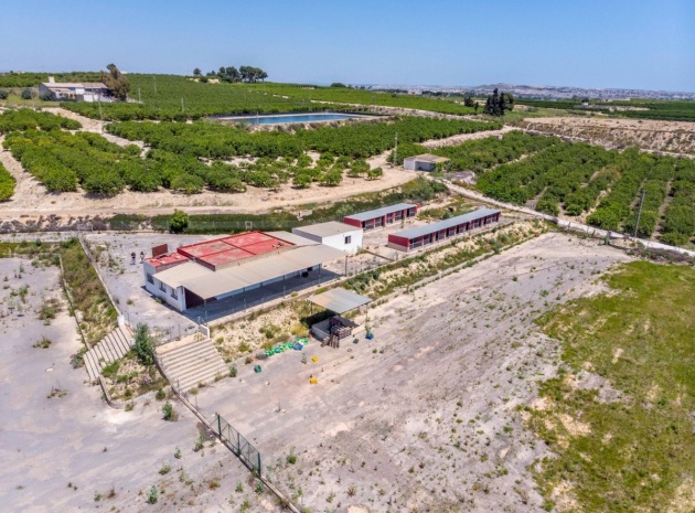 Wiederverkauf - Country Property - Los Montesinos - Los Montesinos Centro
