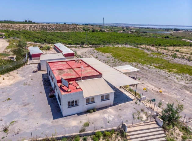 Wiederverkauf - Country Property - Los Montesinos - Los Montesinos Centro