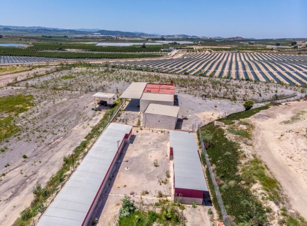 Wiederverkauf - Country Property - Los Montesinos - Los Montesinos Centro