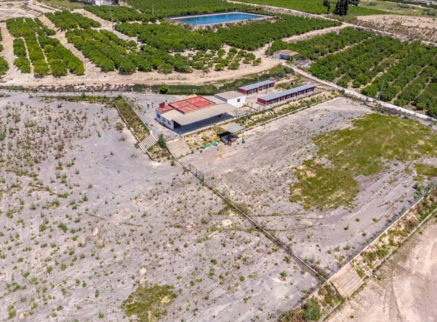 Wiederverkauf - Country Property - Los Montesinos - Los Montesinos Centro