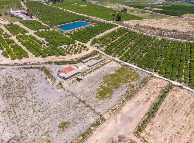 Wiederverkauf - Country Property - Los Montesinos - Los Montesinos Centro