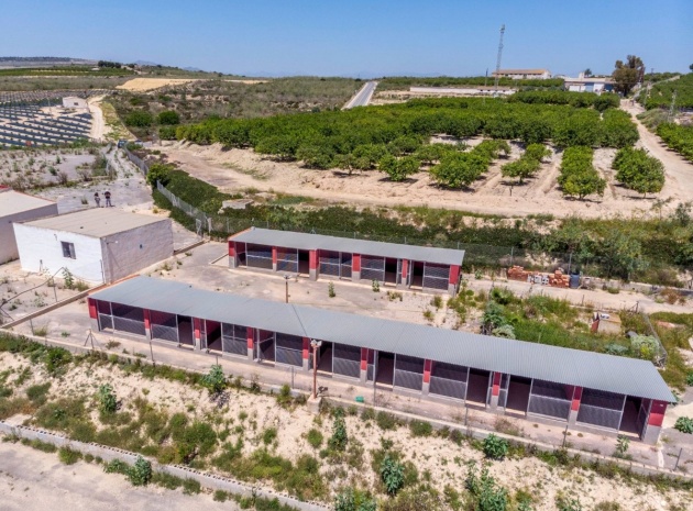 Wiederverkauf - Country Property - Los Montesinos - Los Montesinos Centro