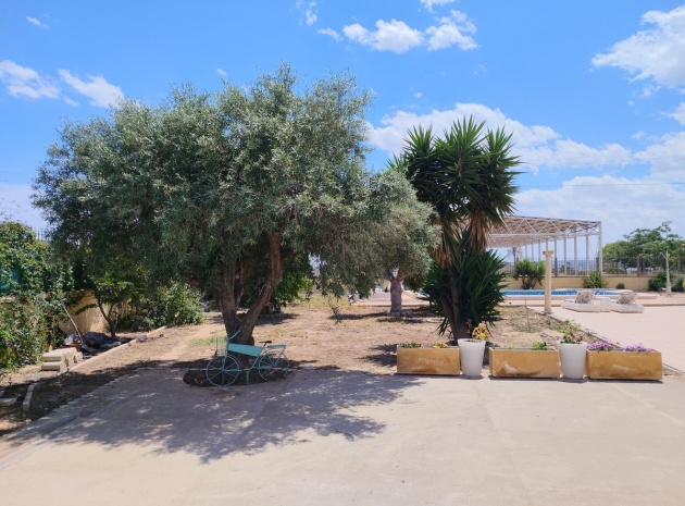 Wiederverkauf - Country Property - Los Montesinos - Los Montesinos Centro