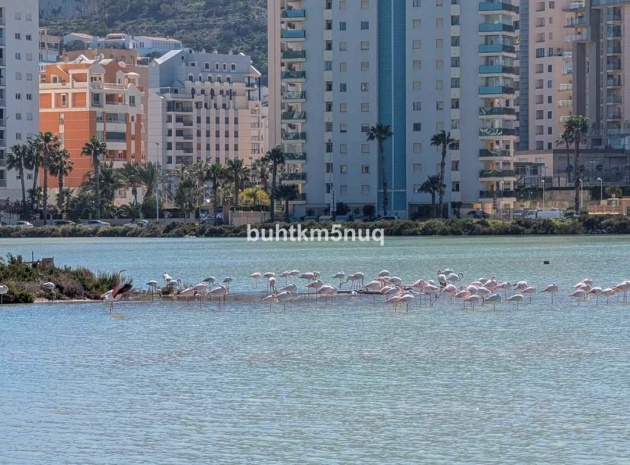 Revente - Villa - Calpe - Calpe Centro