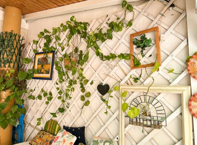 Resale - Apartment - Torrevieja - Torrevieja Centro
