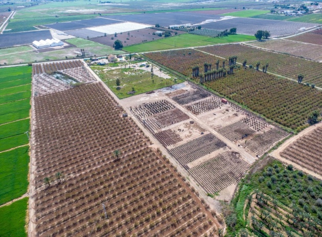 Wederverkoop - Country Property - Crevillente - Crevillent - Crevillente - Crevillent Centro