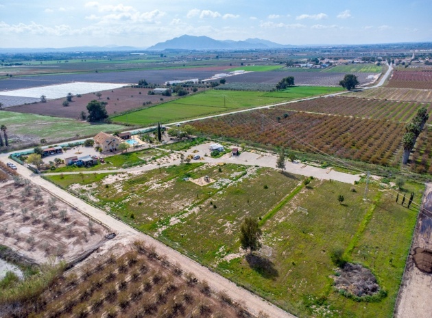 Wederverkoop - Country Property - Crevillente - Crevillent - Crevillente - Crevillent Centro
