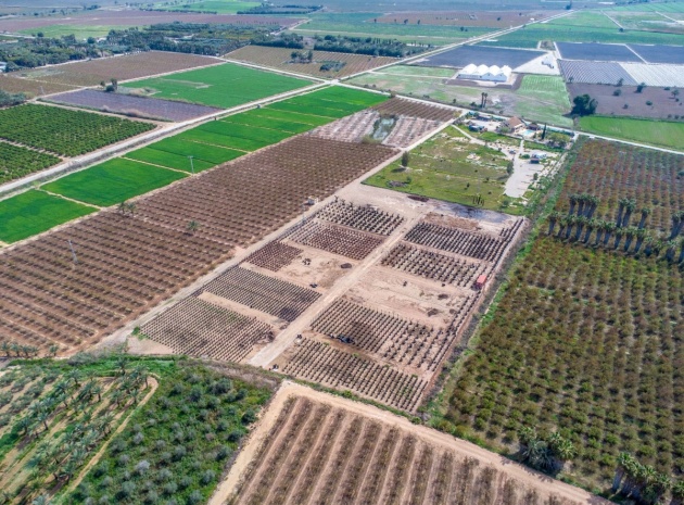 Wederverkoop - Country Property - Crevillente - Crevillent - Crevillente - Crevillent Centro