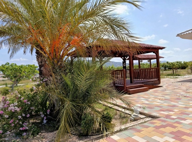 Wiederverkauf - Villa - Pinoso - Pinoso Centro