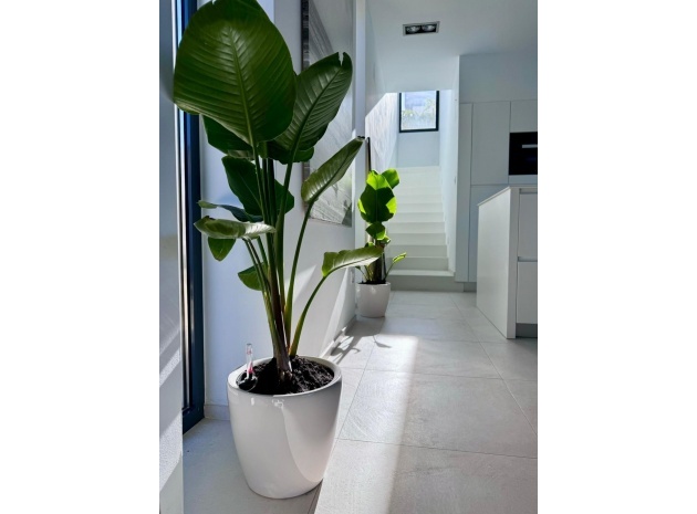 Revente - Villa - Calpe - Calpe Centro