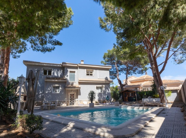 Återförsäljning - Villa - Rojales - Rojales Centro
