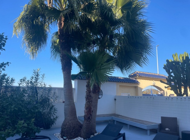 Wederverkoop - Appartement - Torrevieja - La Mata
