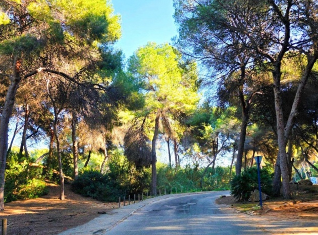 Resale - Villa - Orihuela - Campoamor