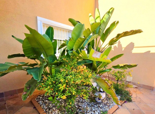 Resale - Villa - Orihuela - Campoamor