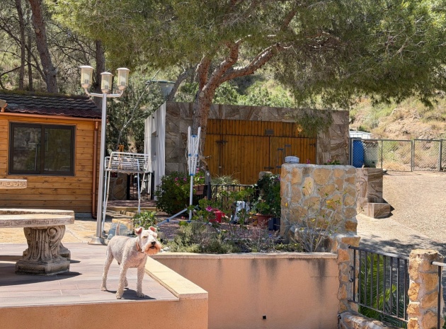 Återförsäljning - Country Property - Orihuela - Torremendo
