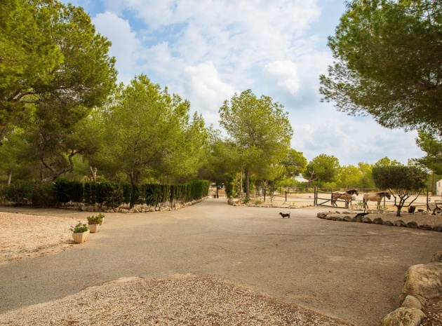 Wederverkoop - Country Property - Torremendo - torremendo