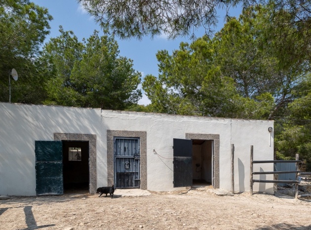 Wederverkoop - Country Property - Torremendo - torremendo