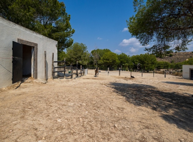 Wederverkoop - Country Property - Torremendo - torremendo