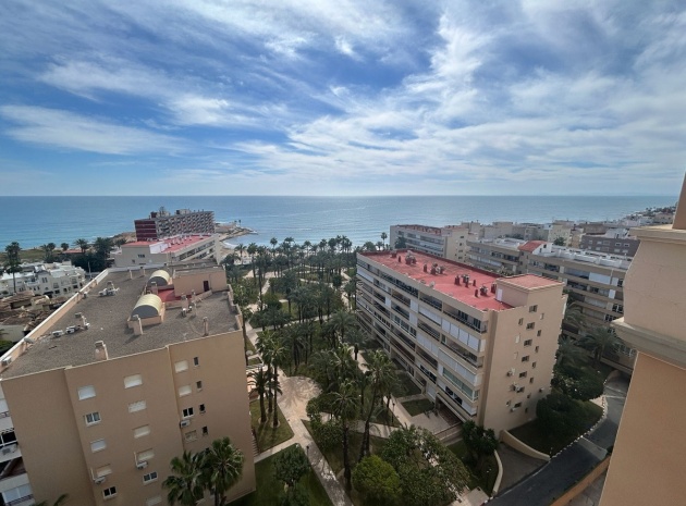 Revente - Appartement - Torrevieja - Torrevieja Centro