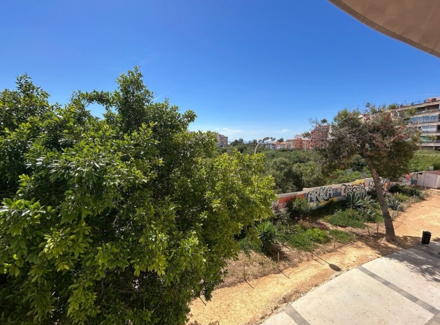 Resale - Apartment - Torrevieja - Torrevieja Centro