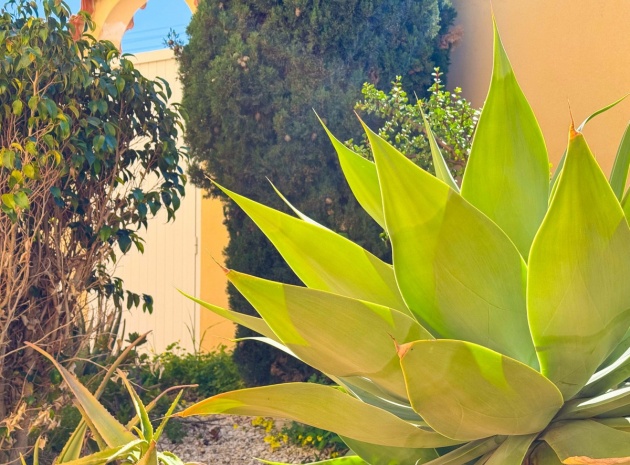 Resale - Villa - Torrevieja - Torre La Mata