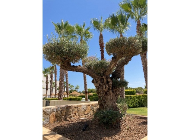 Återförsäljning - Lägenhet - Campoamor - Las Colinas Golf Club