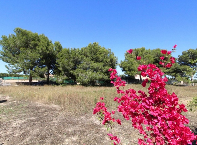 Wiederverkauf - Villa - Elche - Elche Centro