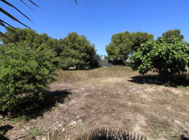 Wiederverkauf - Villa - Elche - Elche Centro