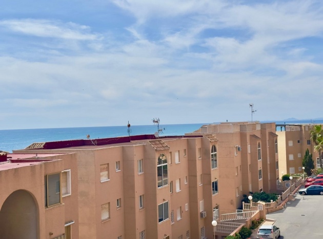 Wederverkoop - Appartement - Torrevieja - Cabo Cervera