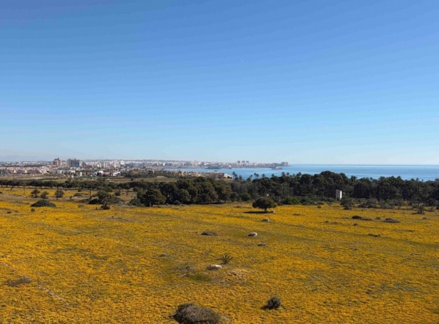 Wederverkoop - Appartement - Orihuela Costa - Punta Prima