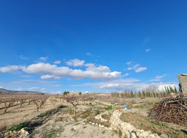 Revente - Country Property - Pinoso - Pinoso Centro