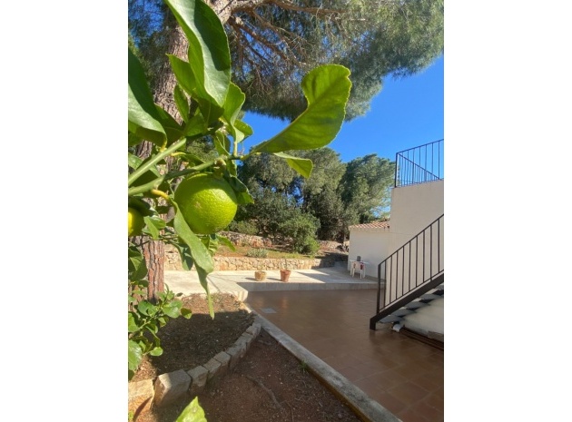 Revente - Villa - Denia - Denia Centro