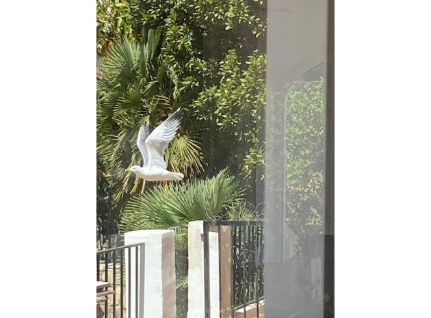 Revente - Villa - Denia - Denia Centro
