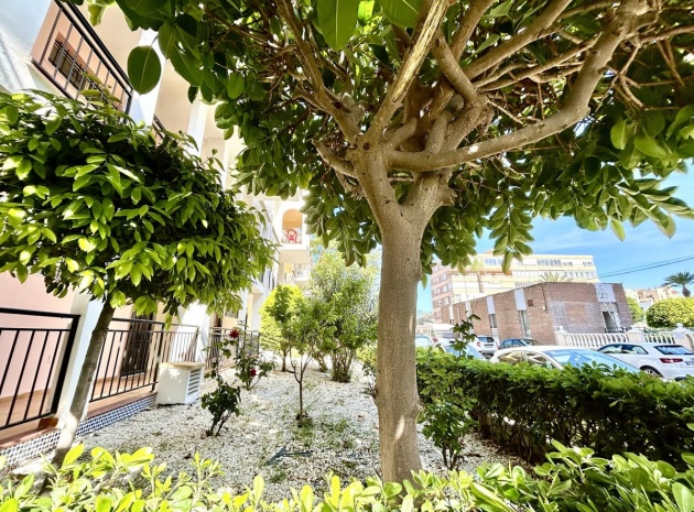 Resale - Apartment - Torrevieja - Torrevieja Centro