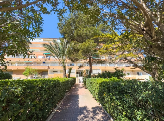 Revente - Appartement - Guardamar del Segura - Guardamar del Segura Centro