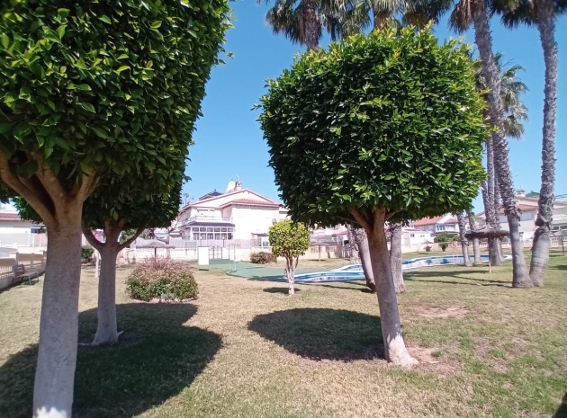 Resale - Apartment - Playa Flamenca - Zeniamar