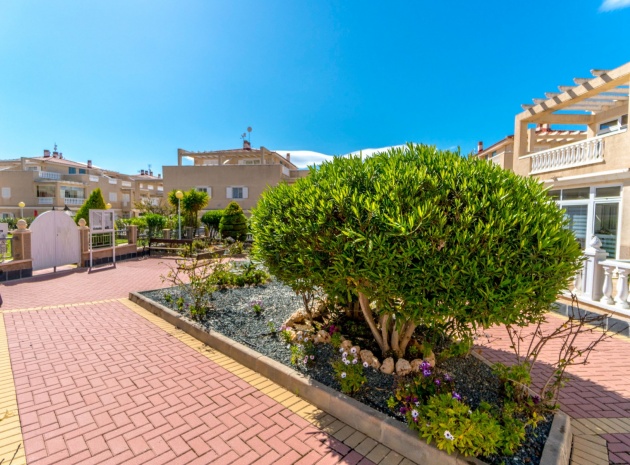 Resale - Apartment - Playa Flamenca - zeniamar