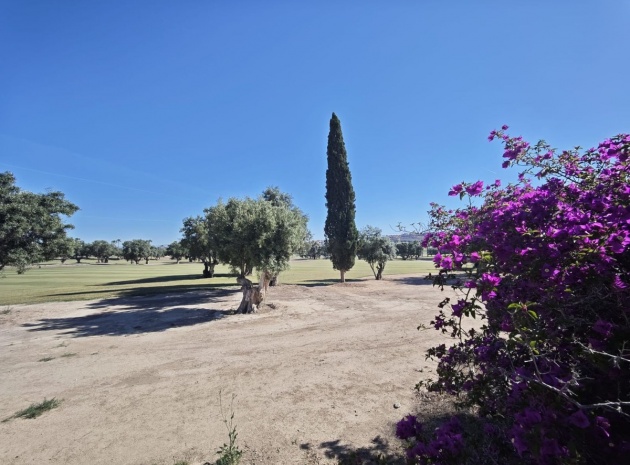 Resale - Villa - Algorfa - Algorfa Centro